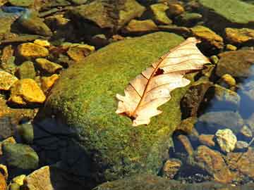 管家婆二四六期期準(zhǔn),火箭1分險(xiǎn)勝騎士