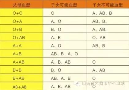 血型親子鑒定對照表,血型親子鑒定對照表與數據實施導向策略，經典款詳解,數據導向設計解析_LT88.85.81