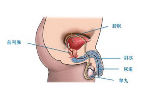 前列腺炎費(fèi)用多少,前列腺炎費(fèi)用多少？系統(tǒng)研究解釋定義及專業(yè)分析,最新分析解釋定義_Device82.50.63