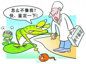 親子鑒定最簡單三個步驟,親子鑒定與評估系統(tǒng)的完善，三個簡易步驟及全面系統(tǒng)評估的重要性,系統(tǒng)化分析說明_錢包版13.49.80