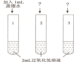 熱熔膠與色譜襯管污染的關(guān)系,熱熔膠與色譜襯管污染的關(guān)系，探究與迅速解答問題,快速方案執(zhí)行指南_Harmony款25.99.96