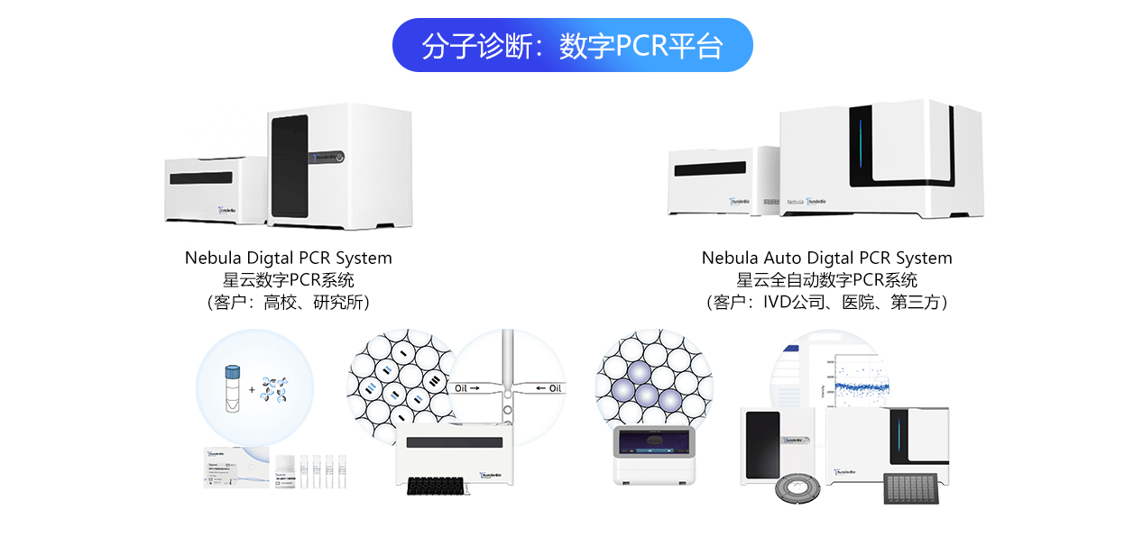 2025年1月4日 第3頁