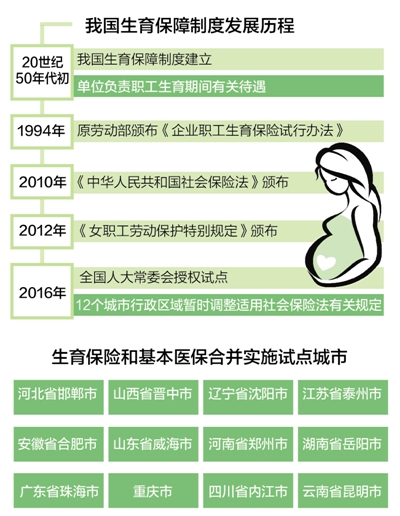 澳門水果奶奶免費(fèi)資料,澳門水果奶奶的數(shù)據(jù)整合之旅，執(zhí)行策略與膠版應(yīng)用探索,現(xiàn)狀說(shuō)明解析_紀(jì)念版67.40.51