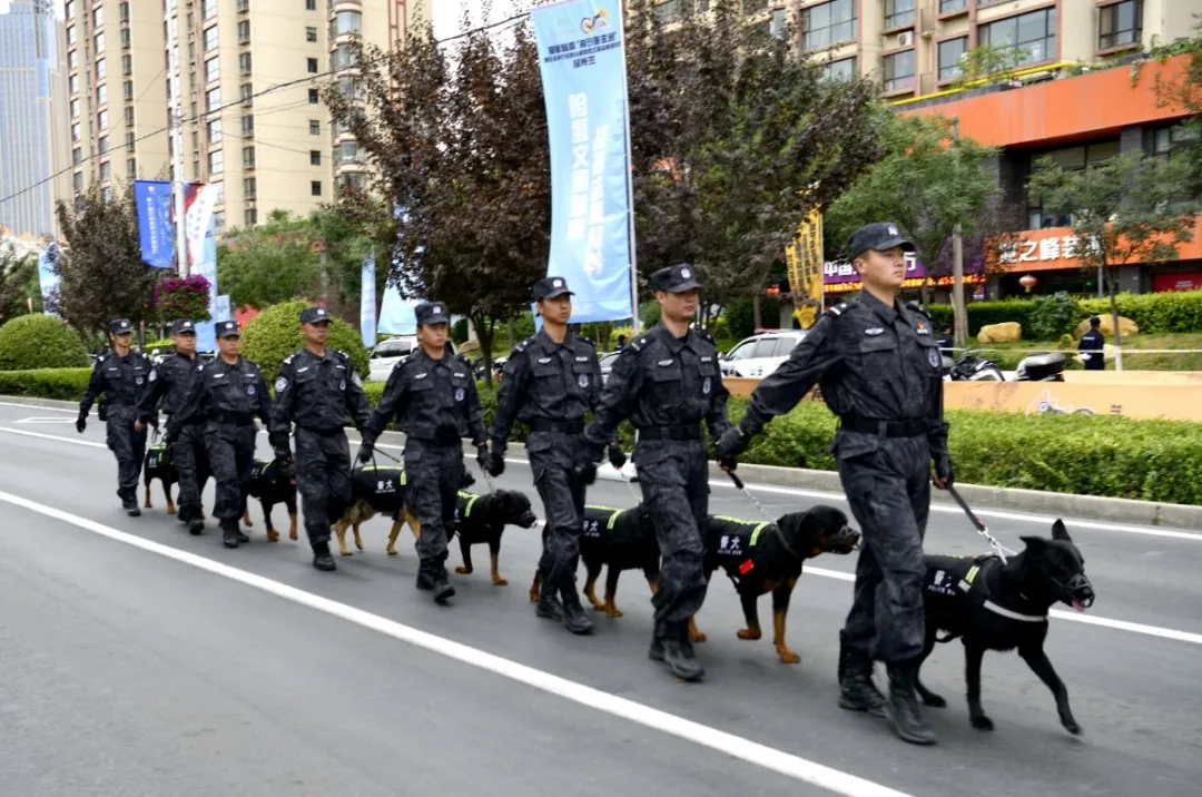 云南一警犬連續(xù)4周被基地“通報”