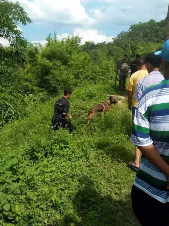 祖孫倆去菜園后失蹤遭鄰居殺害