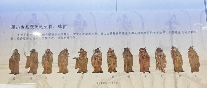 古代十二生肖壁畫有貓無蛇？專家回應(yīng)