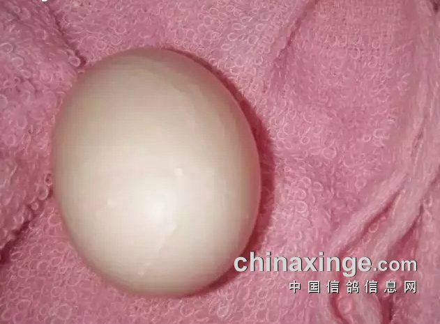 女子打耳洞后長(zhǎng)鴿子蛋大小腫塊