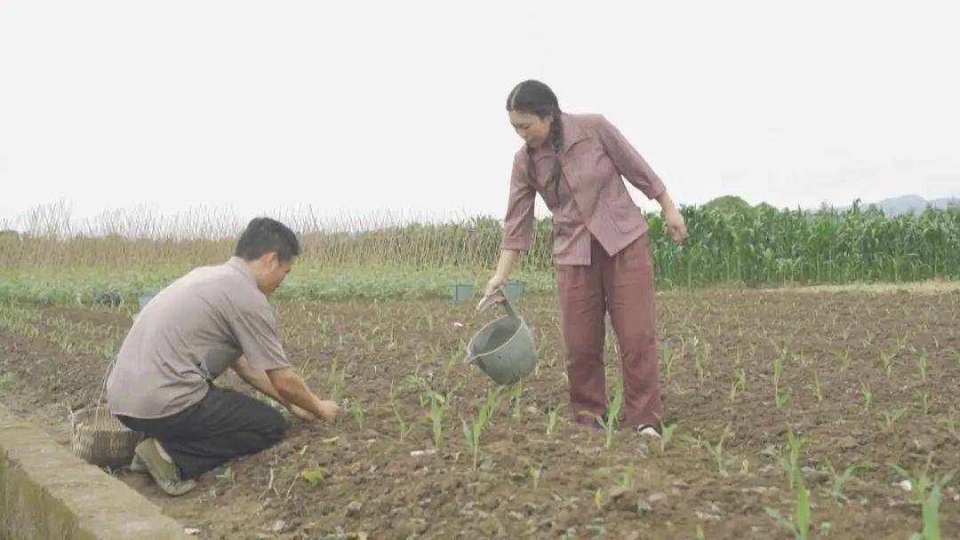 縣委書記遙控家人把贓款贓物埋地里