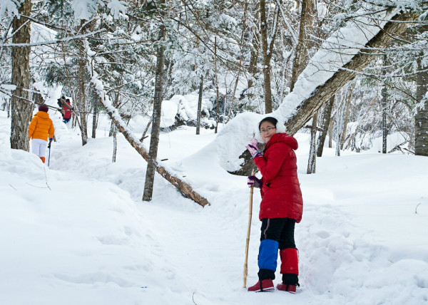 雪鄉(xiāng)景區(qū)大年初三將閉園？不實(shí),創(chuàng)新計(jì)劃執(zhí)行_GM版28.93.79