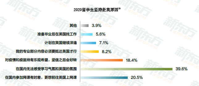 2025年港彩開獎結果查詢,羅馬尼亞留學生謝娜的中國年