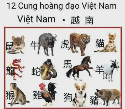 今期雞羊猴出特開(kāi)出什么生肖號(hào)特,臺(tái)立法機(jī)構(gòu)又爆發(fā)沖突打成一團(tuán)