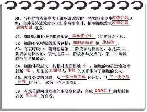 鬼谷子600圖庫(kù)八百圖庫(kù)開(kāi)獎(jiǎng)最快2025澳門(mén)資料大全正版資料下載永久免費(fèi)資,女孩海上漂36小時(shí)生還：幸虧脂肪多